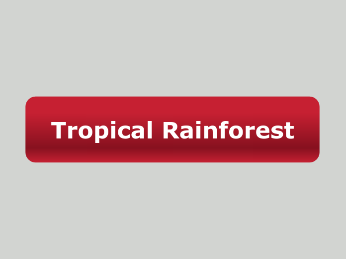 Tropical Rainforest Mindmap Mind Map Sexiz Pix